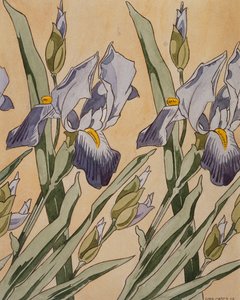 Iris, 1898 od Koloman Moser