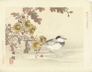 konipas japonský Baireiho náčrtky květin a ptáků (název série) Barei kacho gafu (název série na objektu)