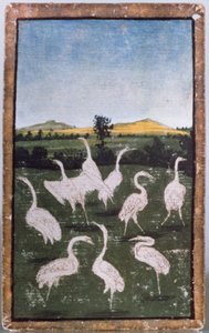 Volavky v poli, jedna ze sady hracích karet zobrazujících scény dvorského jestřábnictví, oblast Horního Porýní, kolem 1440-45 (pero a inkoust, wc) (viz také 88300-04) od Konrad Witz