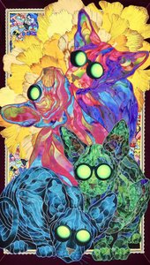 Zářící psychedelické kočky od Kostyantin Malginov