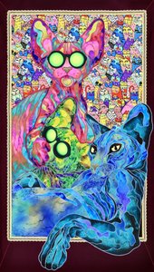 Rodina psychedelických koček