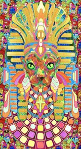 Psychedelická faraonova kočka