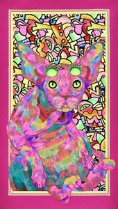 Psychedelická kočka plemene Sphynx od Kostyantin Malginov