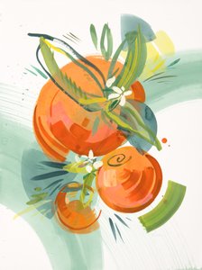 Citrus, 3. řada