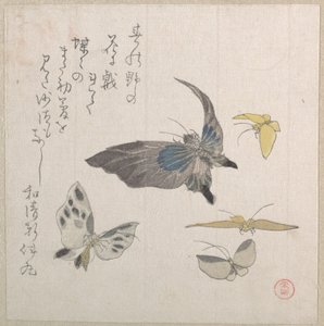  od Kubo Shunman