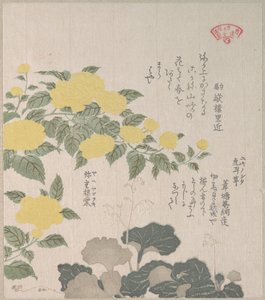  od Kubo Shunman
