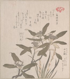  od Kubo Shunman