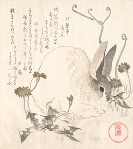 Zajíc a pampeliška, pravděpodobně 1820. od Kubo Shunman