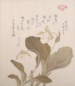 Hotei Flowers, 19. století. od Kubo Shunman