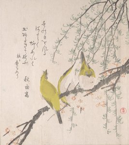 Japonští běloocí se švestkou a vrbou..., ca. 1810. od Kubo Shunman