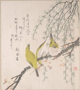  od Kubo Shunman