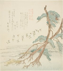 Pine Trees, ze série „a rozdíl ry pro knižní generaci, Hisakataya, pobočková společnost (Shofu generace pobočka Hisakataya a diář rozdílů)“ od Kubo Shunman