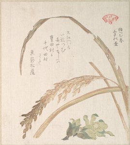  od Kubo Shunman