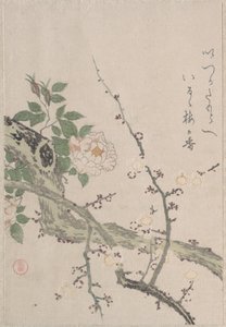  od Kubo Shunman