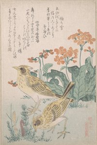  od Kubo Shunman