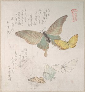  od Kubo Shunman