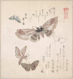  od Kubo Shunman