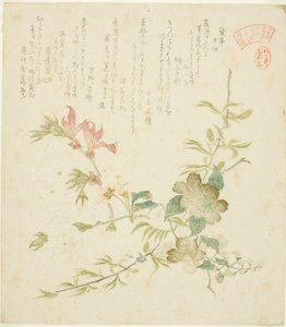 Různé jarní květiny ze série „Jarní rostliny a stromy pro Kasumi Poetry Circle skupiny Yomo (Yomogawa Kasumi-ren haru no kusaki no uchi)“ od Kubo Shunman