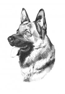  od Kulik