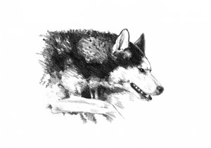  od Kulik
