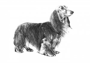  od Kulik