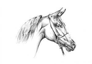  od Kulik