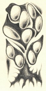  od Kulik