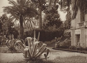Řím: Ve vatikánské zahradě (černobílá fotografie) od Kurt Hielscher