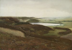 Krajina poblíž Bryrup, Jutsko od Laurits Andersen Ring