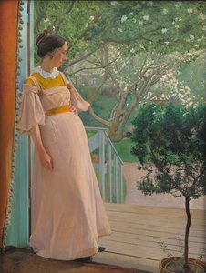 Ve francouzských Windows. Umělcova žena od Laurits Andersen Ring