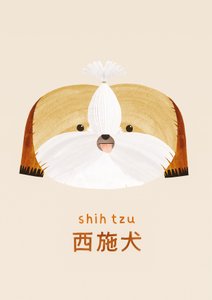 Shih tzu, 2019 od Léa Le Pivert