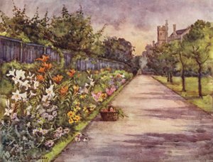 Herbaceous Border, Lambethský palác (barva lito)