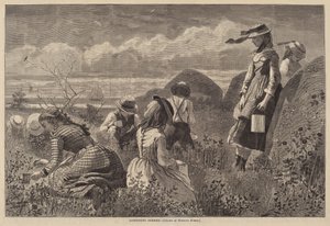 Sběr bobulí od Lagarde after Winslow Homer