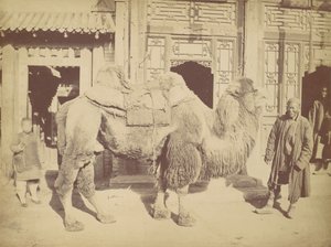 Peking. z. 923, 1867. od Lai Fong.
