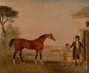 „Sultán“ z Marquess of Exeter Study, Burghley House