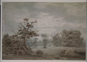 Lesní krajina z Düsseldorfu