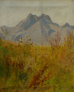 Lomnický Peak od Laszlo Mednyanszky