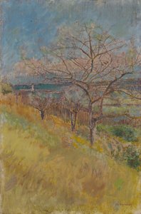 Údolí s kvetoucími stromy, 1890-1900 od Laszlo Mednyanszky