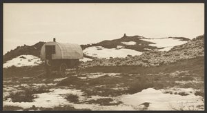 [Drifter, Sheep Wagon and Band on Winter Bedground]