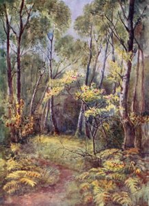 V Leigh Woods