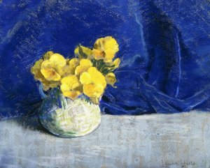 Žluté macešky od Laura Coombs Hills