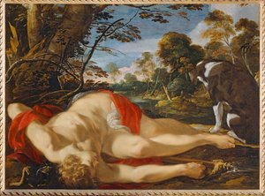 Adonis mort - Adonisova smrt. Verše 1624-1628 ...