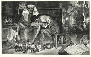 Smrt prvorozených: poslední z deseti egyptských ran (litho) od Lawrence (after) Alma Tadema
