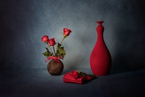Elegantní zátiší s červenou růží od Leah Xu