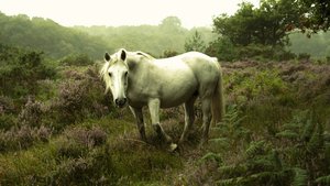 V záři, 2023 (foto) od Lee Cooper
