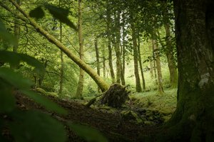 Strom Sentinel, 2024 (foto)