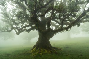 Příběhy lesa, 2025 (foto)