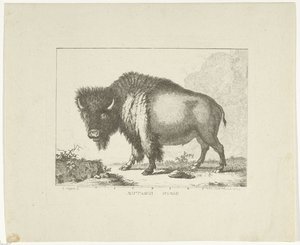 Bizon od Leendert Brasser