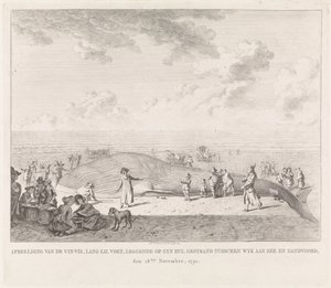 Plejtvák vyplavený na pláži v Zandvoortu Obrázek Vin-Vis (...) uvízl mezi Wyk aan Zee a Zandvoordem, 18. listopadu 1791 (název na objektu)