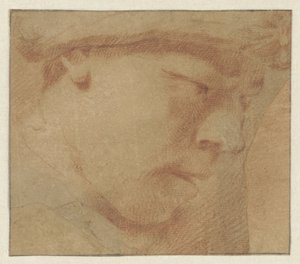 Hlava chlapce, vpravo od Leendert van der Cooghen (manner of)